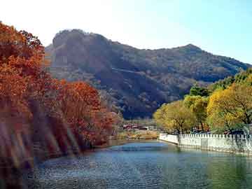 澳门天天免费精准大全，葫芦岛seo建站